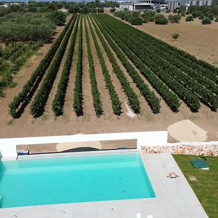 Giu Al Vigneto Villa
