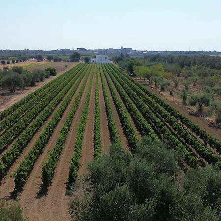 Giu Al Vigneto